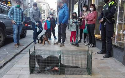 Igaraba bat azaldu da herrian, eta denda batetik atera ezinik ibili dira