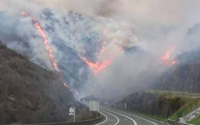 Larunbateko suteen harira «zerbait susmagarria ikusi» zutenei horren berri emateko eskatu die Berako Udalak