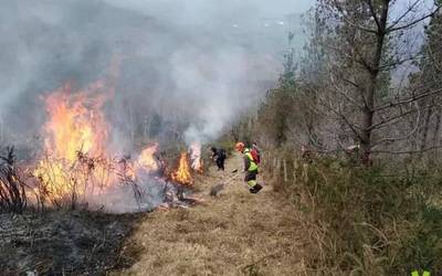 Auzolanean larreak erretzen aritu dira Arantzan