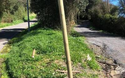 Txiri-Txiri ibilbideko seinaleak hondatu dituzte Urdulizen