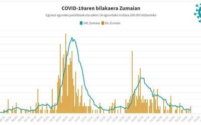 Aste honetan, aurrekoan bezainbeste kasu positibo baieztatu dituzte Zumaian