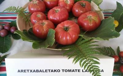 Sari nagusia jaso du Aretxabaletako tomateak Kantabriako Bezanan egindako lehiaketan