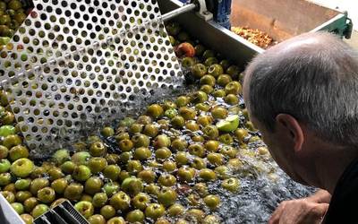 ASEk batzar orokorra egingo du bihar, barikua, kultura etxean