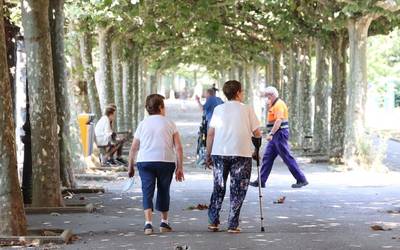 Hemezortzi kasu erregistratu ostean, eremu laranjara igaro da eskualdea