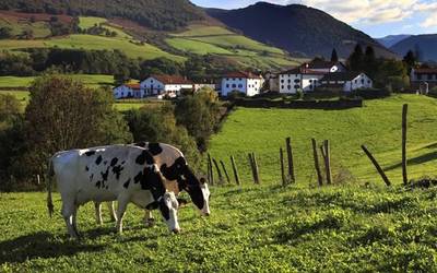 Nafarroako Nekazaritzako Produkzio Ekologikoaren Kontseiluak 25 urte bete ditu