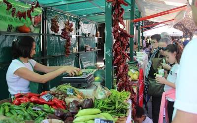 Mungiako Nekazaritza Ekologikoaren Azoka, gertuko produktuak eta zozketak