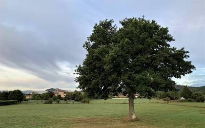 Eguzkiak ere tartetxo bat nahi du