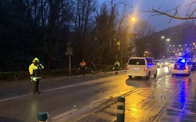 Euriteen eraginez, zuhaitz bat erori da Kalegoienan