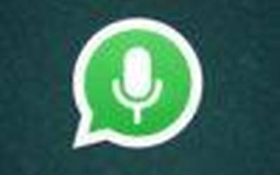 WhatsApp-ek  audio-oharrak  entzuteko  aukera  emango  du  bidali  baino  lehen
