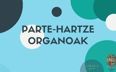 Haur eta nerabeen parte-hartze organoari buruzko informazio bilera eginen du Lesakako udalak urtarrilaren 15ean