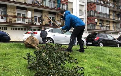 Zuhaitz Egunean, arteak landatuko dituzte