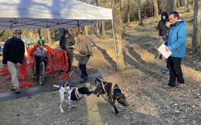 Etxarri Aranazko Txakurkrosa, ikusgarria