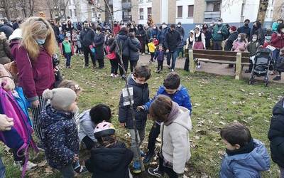 Intxaurrondoa eta gereziondoa landatuta, dolurako gunea zehaztuta