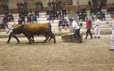 Iñaki Olidenen kintopeko pare berria bigarren, estreinako deman