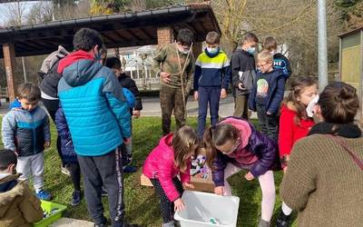 Hildakoak gogoan izateko gereziondoa landatu dute Tortolis ludotekakoek