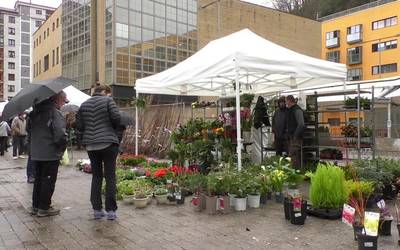 Landare eta zuhaitzez bete da Alondegia plaza