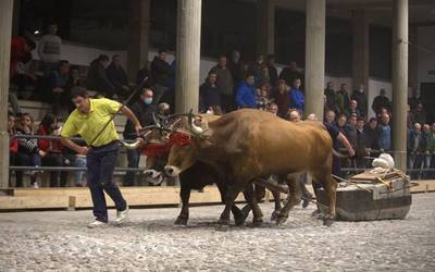 Aiako XXIV. Kintopeko Idi Probak jokatuko dira larunbatean eta astelehenean