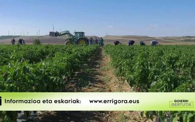 Nafarroako produktuak fabrikako prezioan erosteko aukera martxoaren 30a bitarte