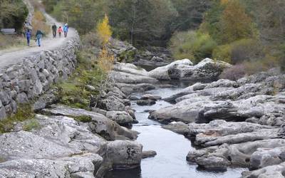 Larraun ibaiko bazterrak garbitzeko auzolana