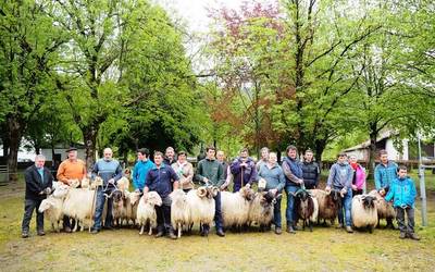 Udaberriko Feria eginen dute bihar Elizondon