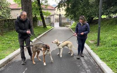 Munduko txakur kros txapelketarako prest daude Fernando Cobos eta Luko txakurra