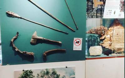 Eskualdeko historiaurrean sakontzeko erakusketa ikusgai dago Plasentia de Butron museoan