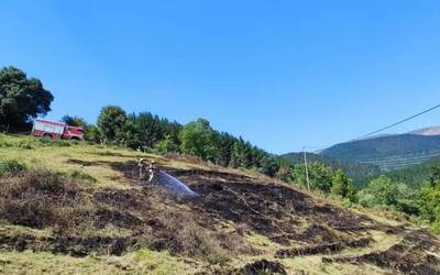 Garaiko zelai batean isioturiko sutea amatatu dute