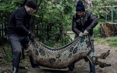 Nazioarteko gatazkak aztergai Gasteizko kazetaritza jardunaldietan