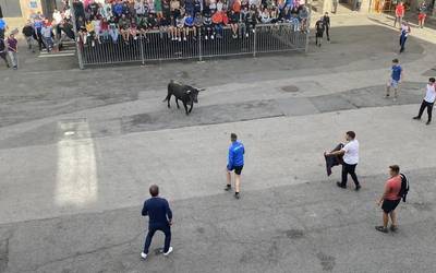 Ikusmina piztu du Bergaran, Euskal Herrian lehenengoz atera den Lidiako zezen garbiak