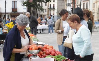 Tamaina ederreko tomateak ekarri dituzte Elgetako plazara