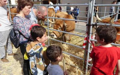 Feria eguna Altsasun