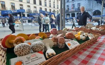 Udazkeneko Mikologia Erakusketaren XL. edizioak bete du Laudioko Herriko Plaza