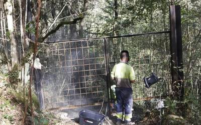 Zugarramurdiko Lezapeko belategia herriak erosi du eta hesia paratzen ari dira