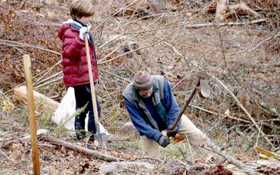 Haurrentzako zuhaitz landaketa antolatu dute martxoaren 12rako