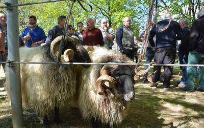 Udaberriko feria eginen dute ortziralean Elizondon