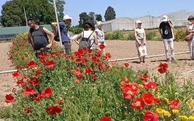 Lore bandei eta heskaiei buruzko ikastaroa antolatu du INTIAk apirilaren 20rako Donezteben