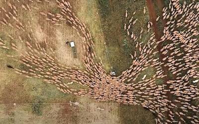 Ecozine jaialdia iritsi da aste honetan Golem Baionara