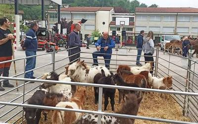 Azienda feria eginen dute larunbatean Beran