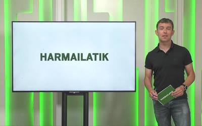 Harmailatik (2023-05-08)