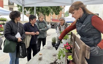 Landareak eta loreak izan dira protagonista hirugarren zapatuko azokan Arrasaten