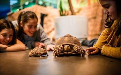 Zozkatu ditu Karkarak Eureka! Zientzia Museorako sarrerak