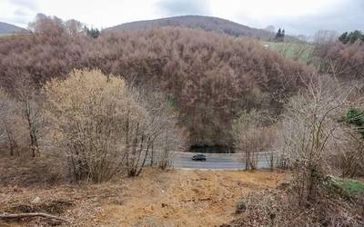 Leitzako Plazaolako Bide Berdearen eta NA-170 errepidearen artean dagoen ezponda egonkortzeko lanak 450.000 euroan esleitu dituzte