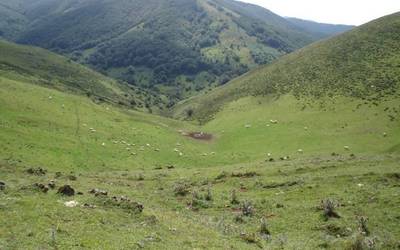 Erdizko ingurua ezagutzeko ibilaldia eginen dute igandean Artesiagatik abiatuta