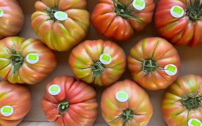 Tomate zaporea izanen du larunbateko EKOmerkatuak