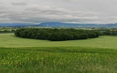 Itza Zendea "suntsituko" duen proiektu handirik ez dute nahi herritarrek