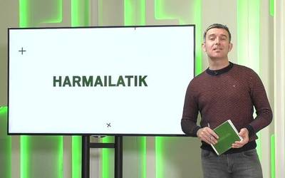 Harmailatik (2023-12-04)