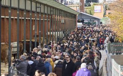 12.000 herritar inguru hurbildu dira Leioako XXIV. Nekazaritza eta Abeltzaintza Azokara