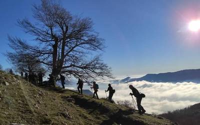 Goazen mendizaleak, Aralarrera...