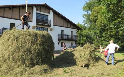 Belar meta egingo dute bihar Orioko plazan erromeria giroan