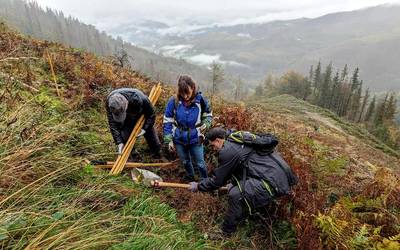 Urteko lehen zuhaitz landaketa egingo du zapatuan Baso Biziak elkarteak